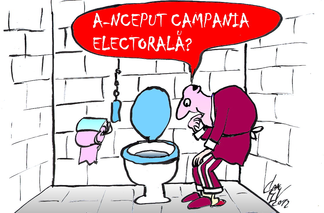 A-inceput-campania-electorala