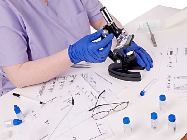 2-poza-probe