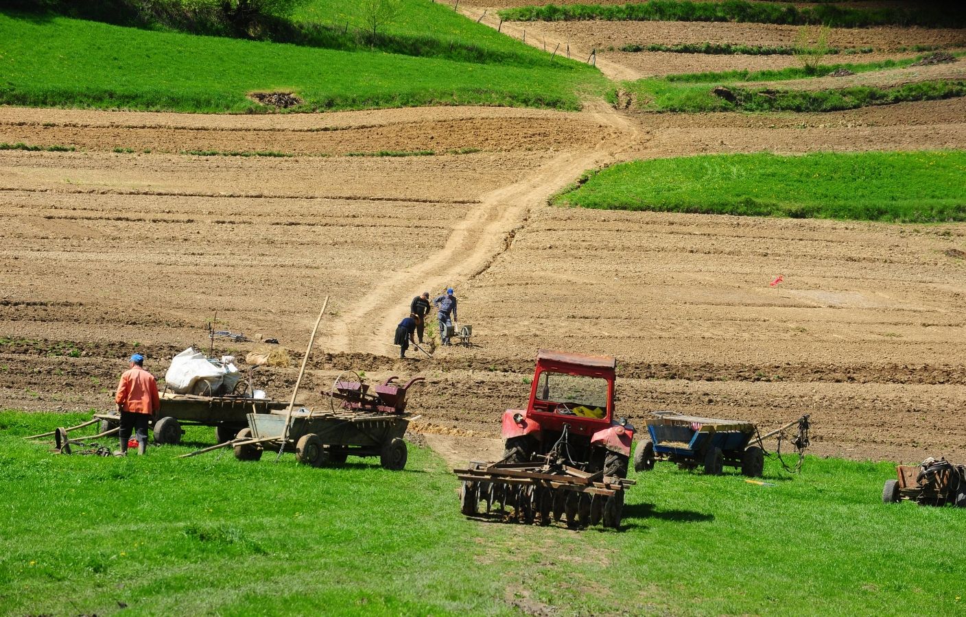 dna_agricultura_421946460