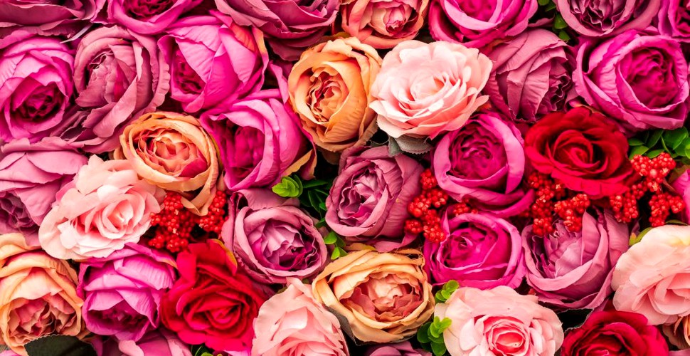 flori-ziua-femeii-mesaje-martie-unsplash_descopera-4-1024x683-1