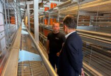 Ion Dumitrel: Investițiile românești construiesc viitorul județului Alba!